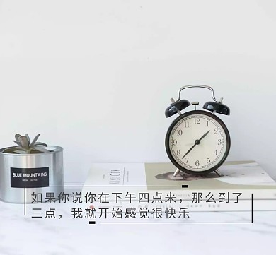 小王子狐狸黄色感到快乐朋友圈封面