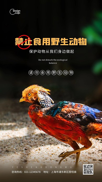 保护野生动物禁止食用公益摄影图海报