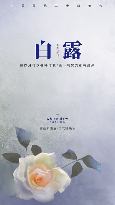 白露油画玫瑰花简约节气日签