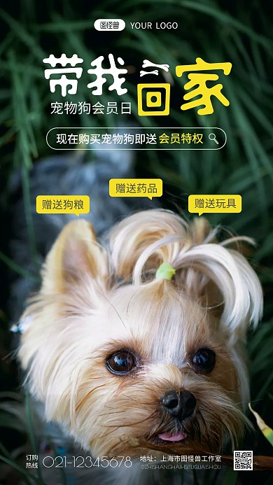 简约宠物狗会员日摄影图海报