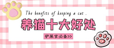 养猫十大好处猫宠物粉色简约公众号封面首图