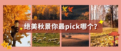 秋景枫叶橙色四图拼图创意资讯公众号首图