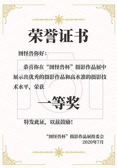 金色花边边框优秀摄影作品展荣誉证书模板