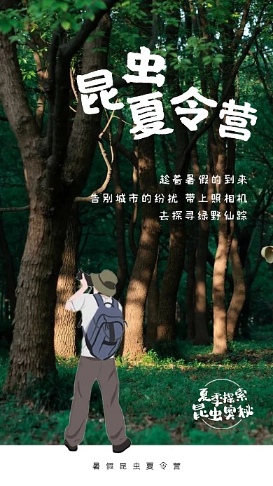 暑假昆虫夏令营摄影图海报