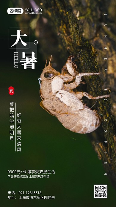 大暑节气地产行业借势宣传摄影风手机海报