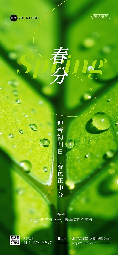 二十四节气春分问候树叶背景全屏海报