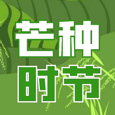 芒种时节二十四节气宣传简约公众号次图