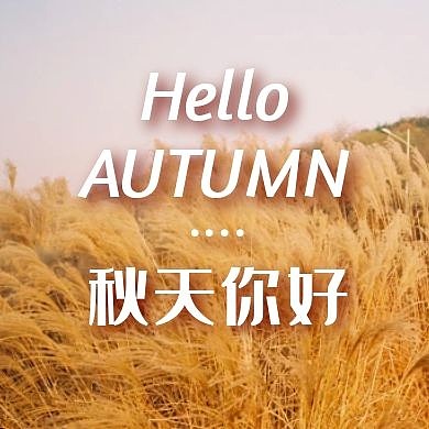 秋天你好风景摄影简约公众号次图
