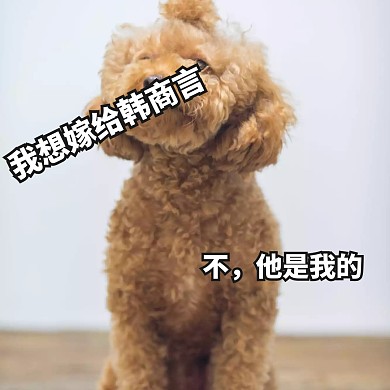 亲爱的热爱的追星女孩恶搞萌宠表情包