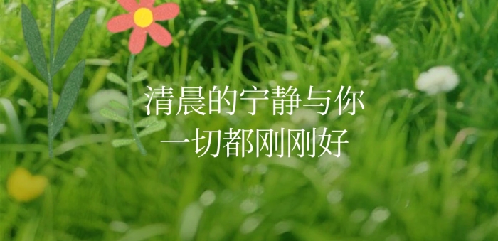 早安你好日签治愈小清新正能量问候海报