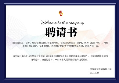 民航飞机聘书商务企业航空