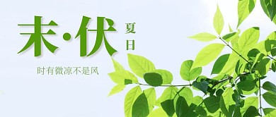 三伏天简约清新生活服务公众号首图