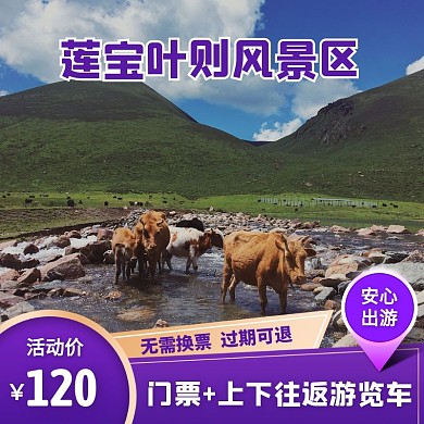 紫色简约风风景区门票主图直通车