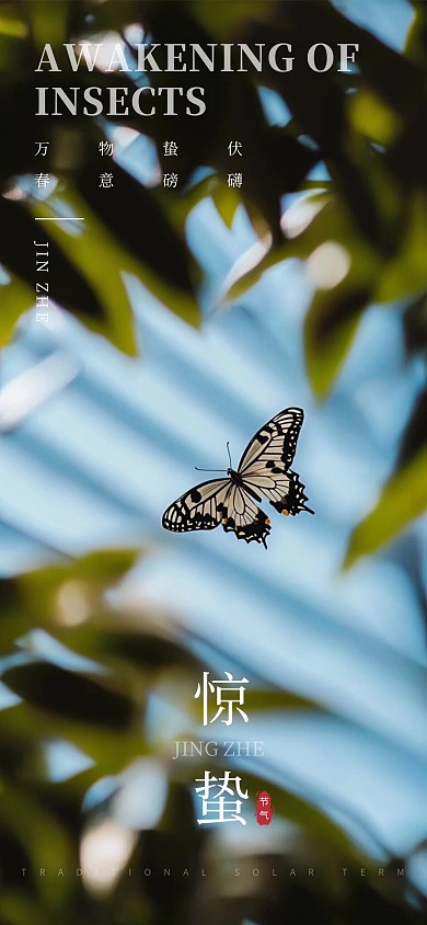 原创简约摄影风惊蛰节气全屏海报