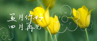 摄影唯美郁金香花海五月你好封面首图