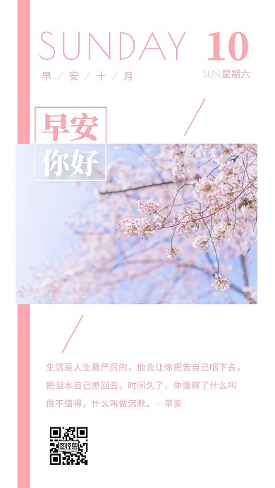 2020日历早安图粉色摄影图简约风日签