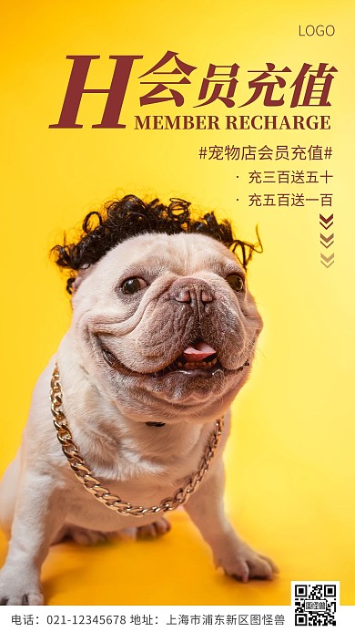 宠物店会员充值黄色简约风摄影图海报