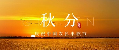 摄影大气稻田秋分庆祝中国农民丰收节首图