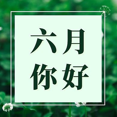 六月你好绿色清新简约清新公众号封面次图