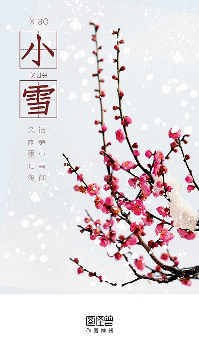 小雪节气十一月二十二日梅花启动页