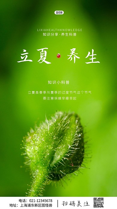 简约风摄影图立夏养生知识分享摄影图海报