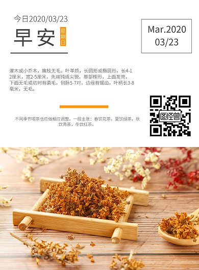采茶女早安简约线性海报	