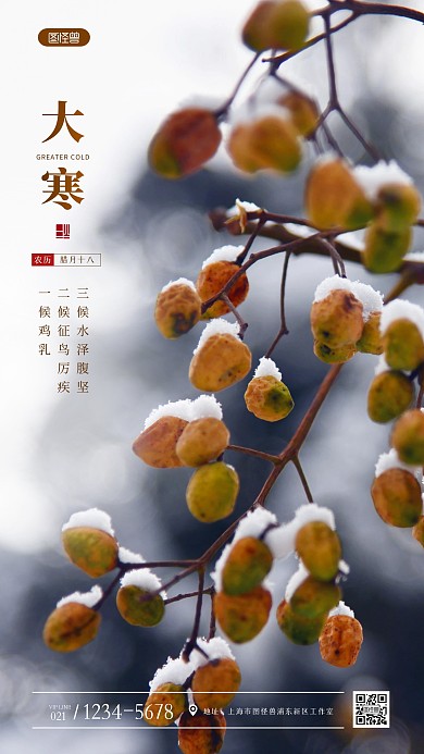 大寒节日节气传统节日简约风摄影图海报