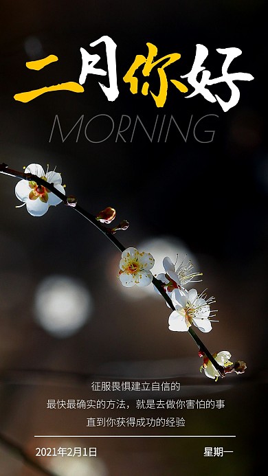 黑色简约大气早安腊梅日签