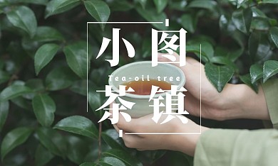 2020茶镇名片