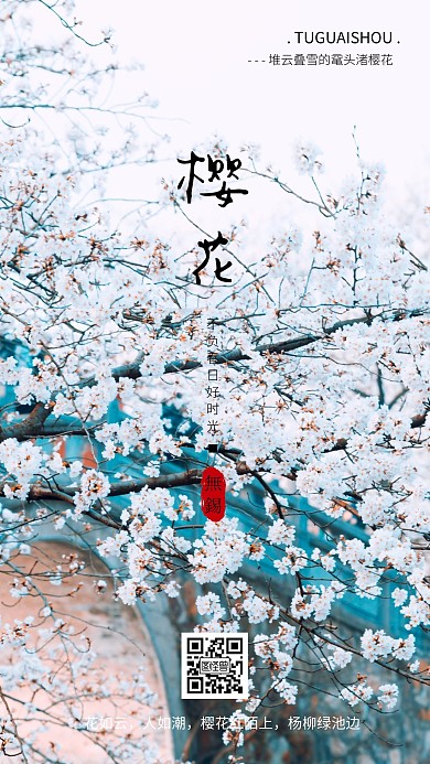 春日无锡赏樱花旅游海报