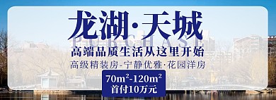 房地产简约大气蓝色淘宝电商全屏海报