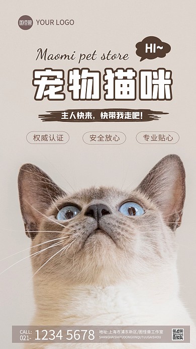 宠物门店领养猫咪简约简洁手机摄影图海报