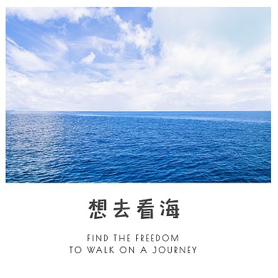 简约摄影背景新媒体CD
