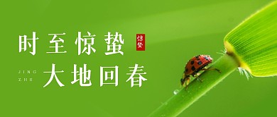 惊蛰传统节气祝福绿色公众号封面