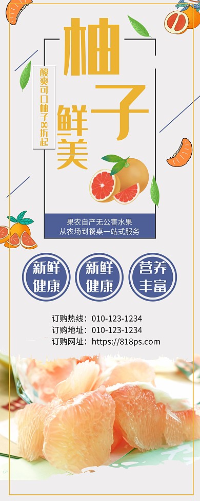 柚子水果黄色宣传易拉宝