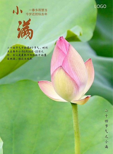 手绘小清新24节气小满海报展板