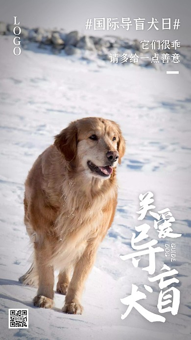 关爱导盲犬新闻资讯摄影简约手机海报
