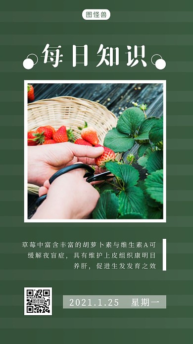 水果每日知识分享绿色草莓简约风日签