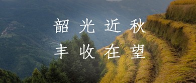 简约摄影图稻田秋天丰收微信公众号封面