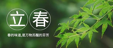 立春摄影风简约公众号首图