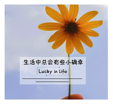 朋友圈花卉小清新封面