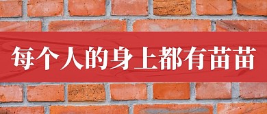 每个人的身上都有苗苗公众号封面首图