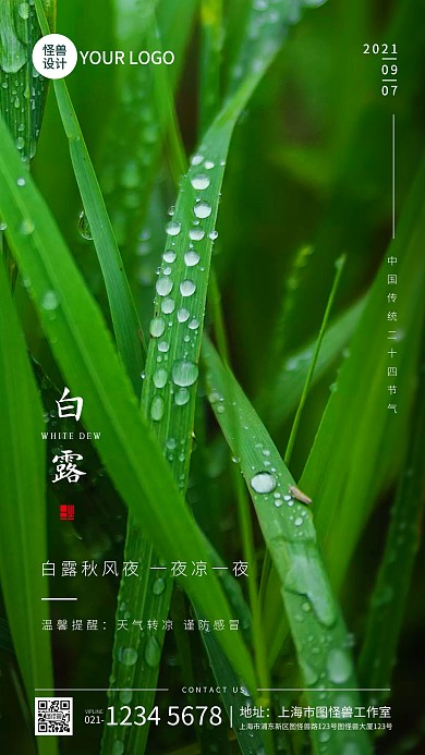 白露节气祝福问候简约摄影图海报