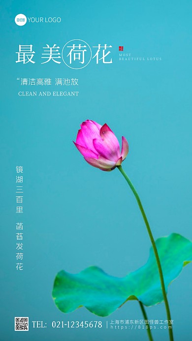 最美荷花自然风景古风摄影图海报
