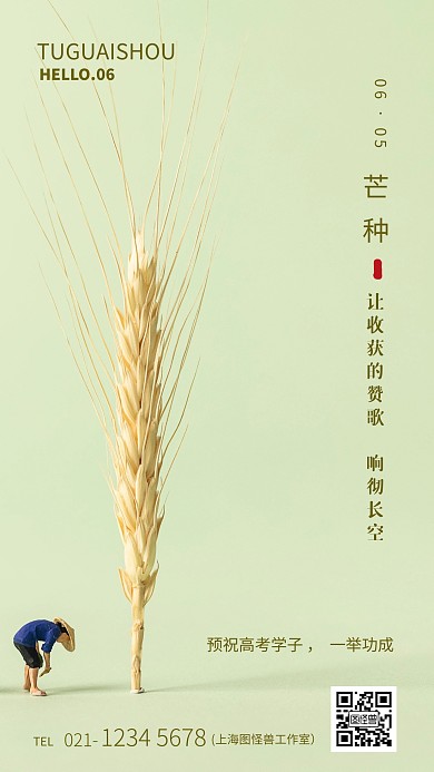 简约二十四节气芒种祝福海报