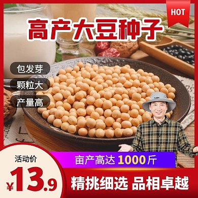 红色简约风高产大豆种子促销活动主图直通车