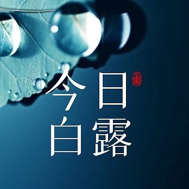 简约摄影风白露节气祝福问候公众号封面首图