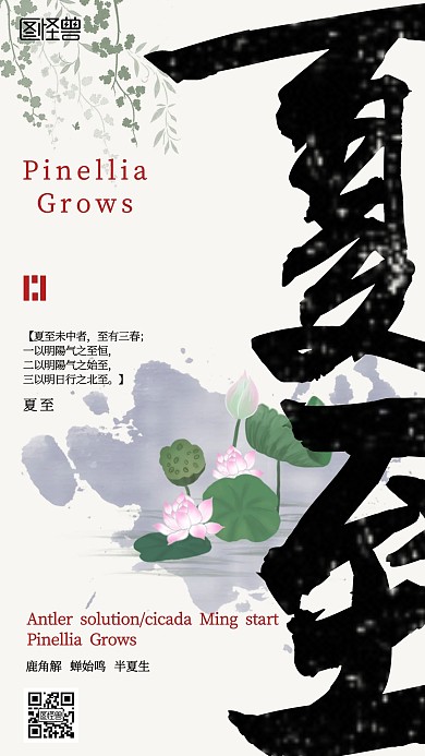 夏至荷花塘节气海报