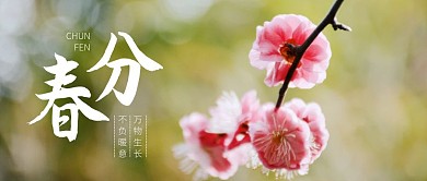 创意清新春分传统节气公众号封面