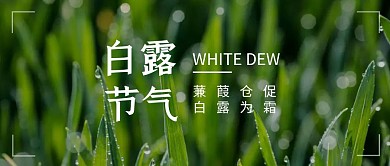 白露传统摄影小清新绿色简约公众封面首图